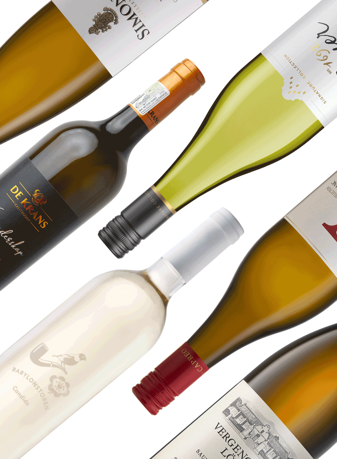 Best of Whites 🥂 White Wine Package