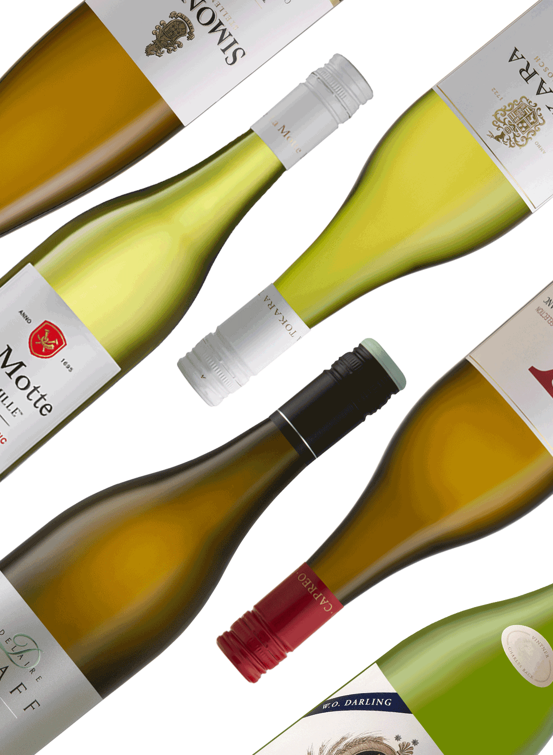 Best of Whites 🥂 Weißweinpaket