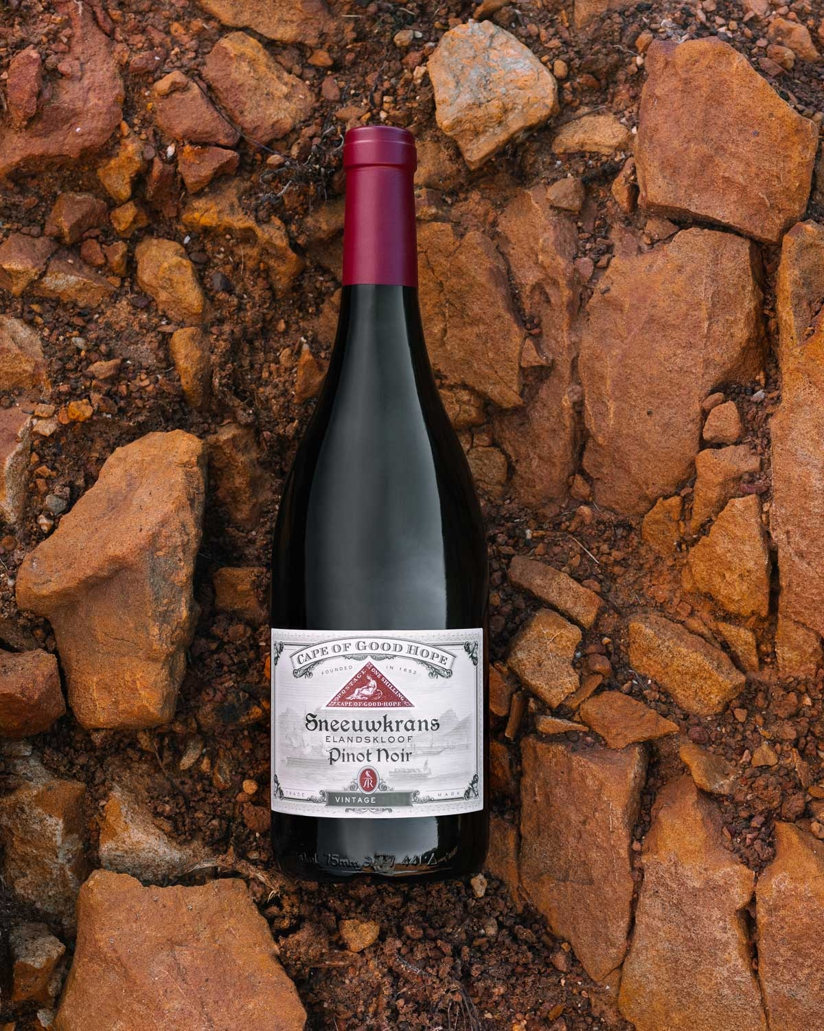 Anthonij Rupert Cape of Good Hope Sneeuwkans Pinot Noir 2022