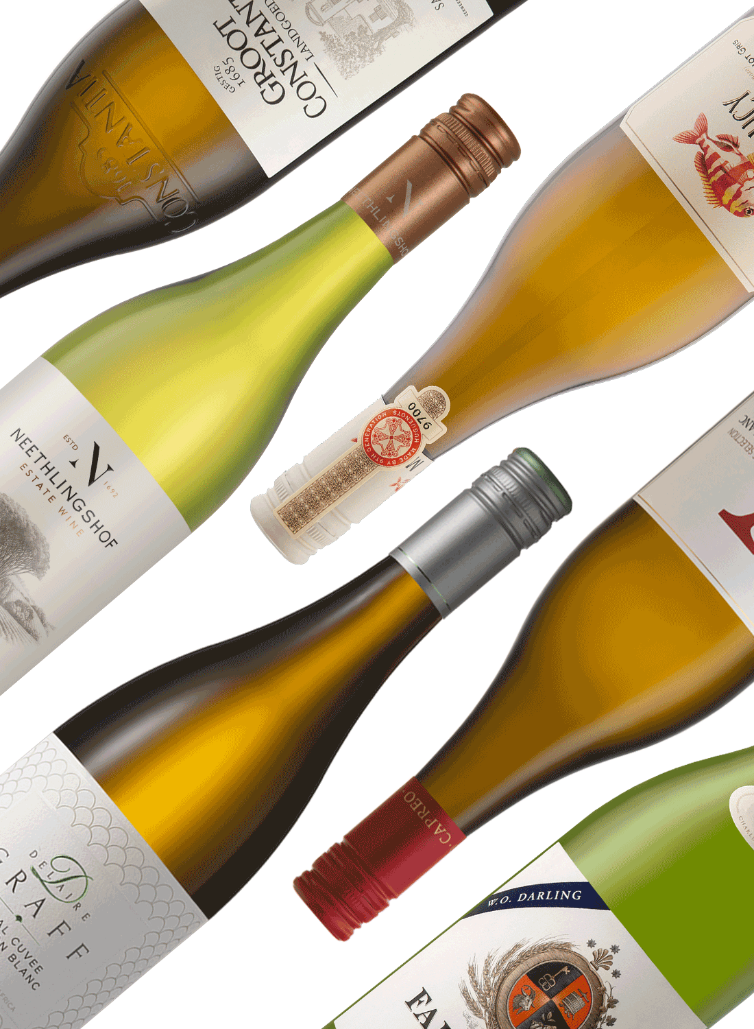 Best of Whites 🥂 White Wine Package
