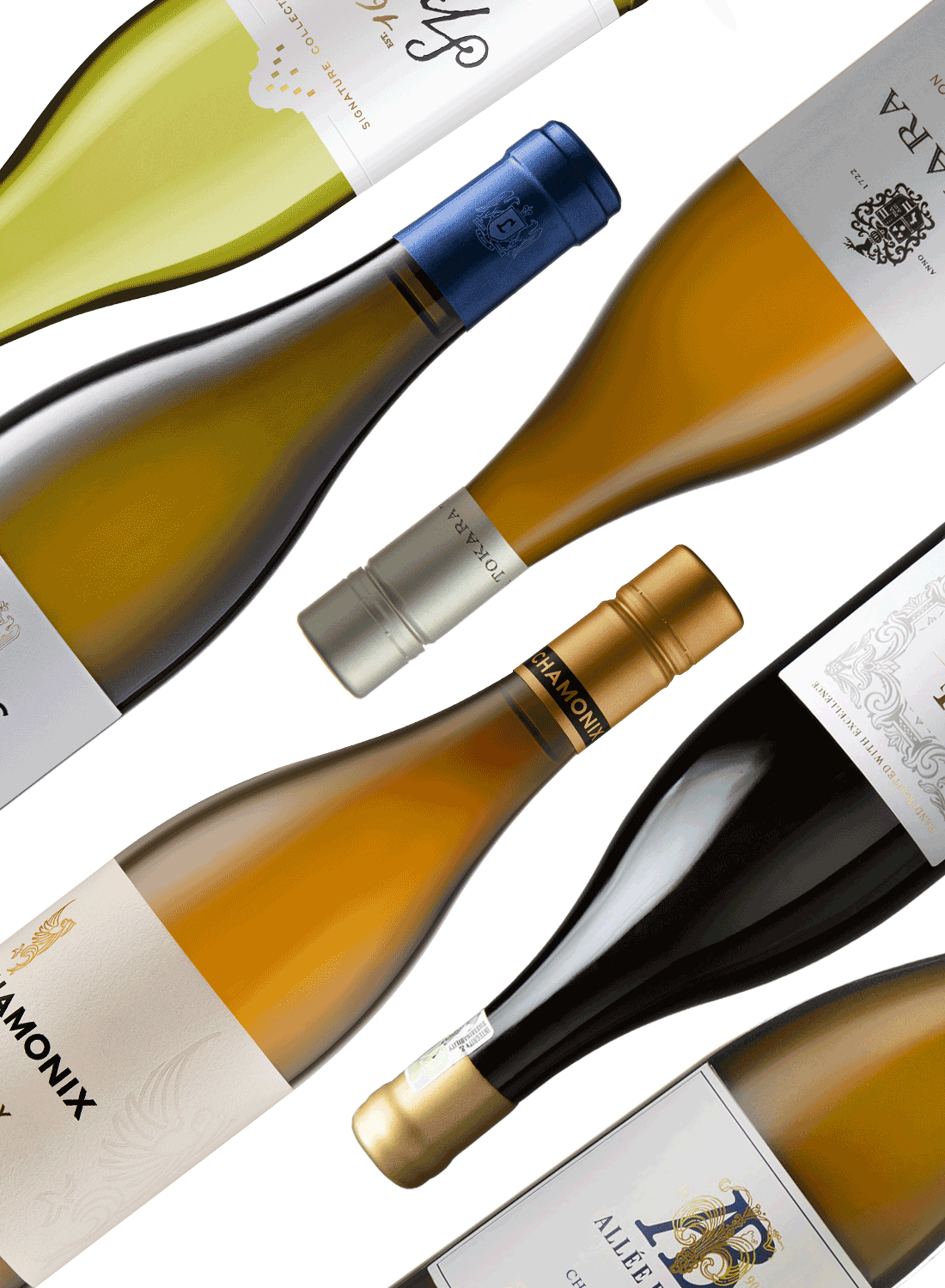 Best of Chardonnay 🍾