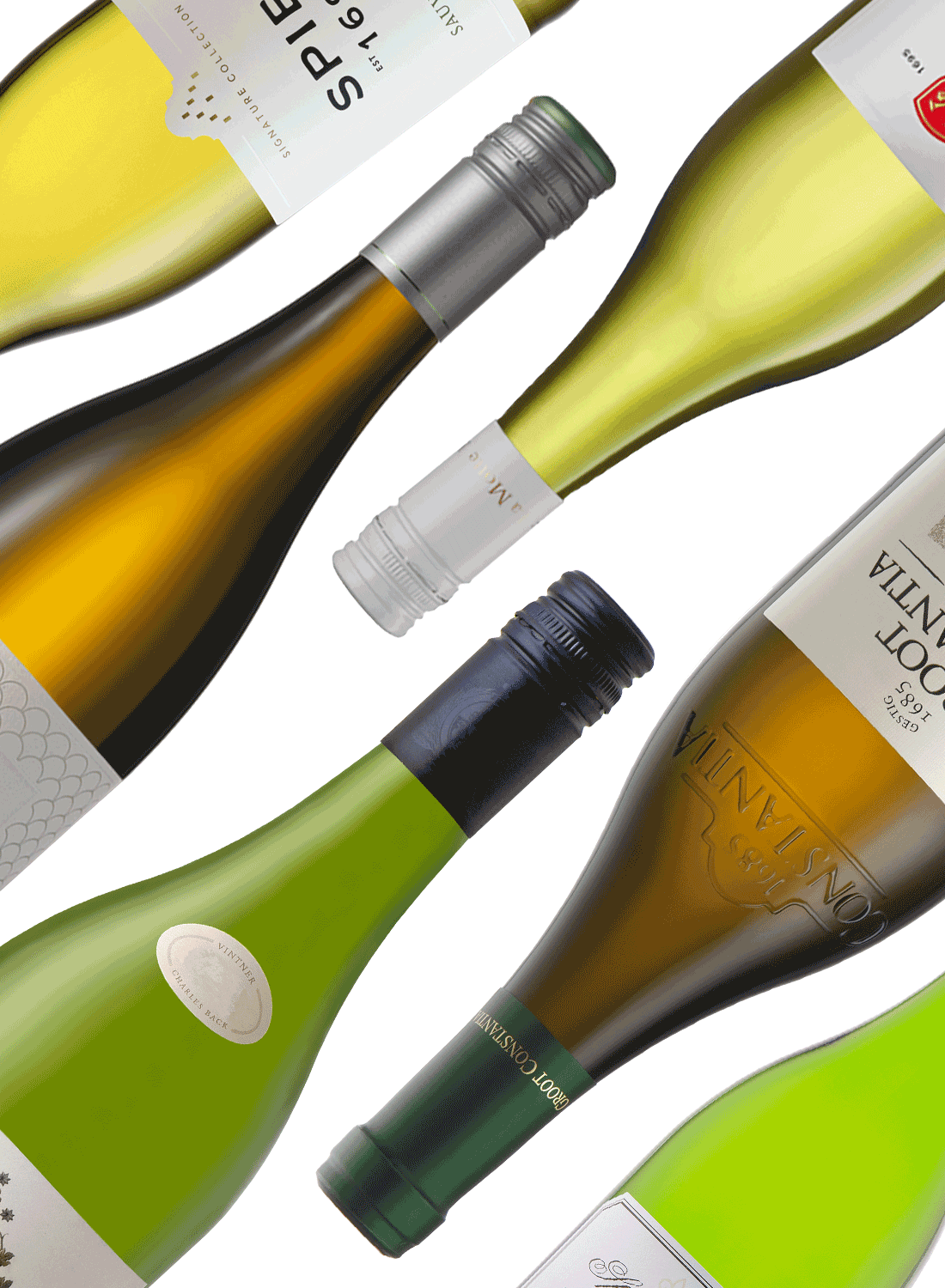 Best of Sauvignon Blanc 🍋