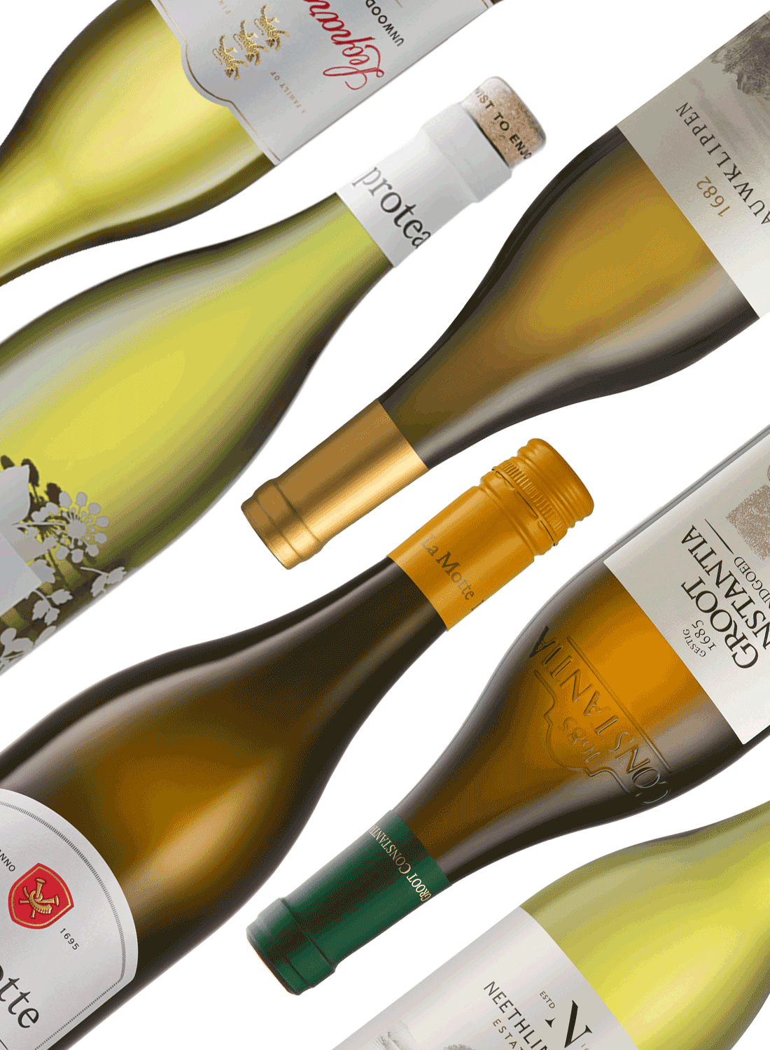 Best of Chardonnay 🍾