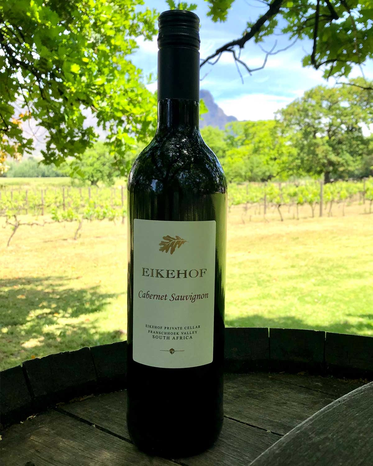 Eikehof Cabernet Sauvignon 2021