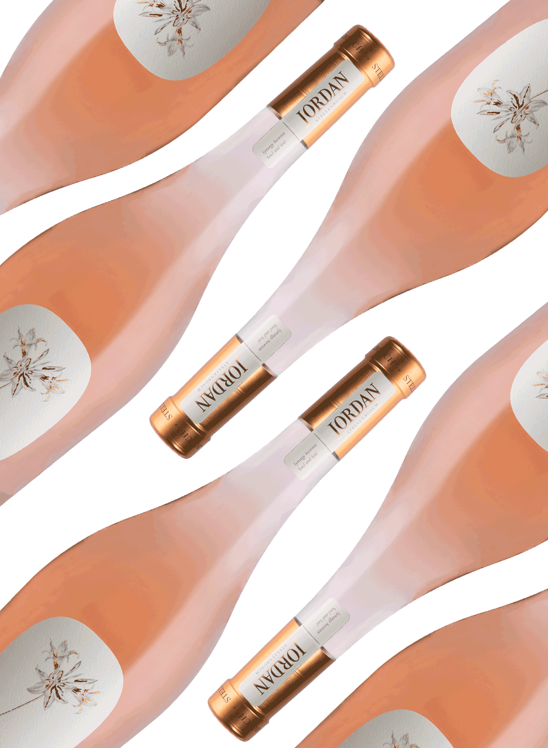 Jordan Dry Rosé 2024 🔥 Buy 10 & Get 12