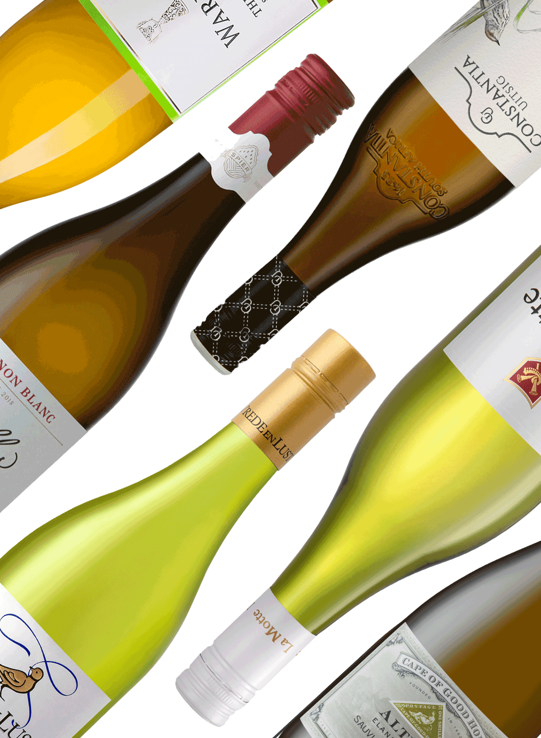 Best of Sauvignon Blanc 🍋