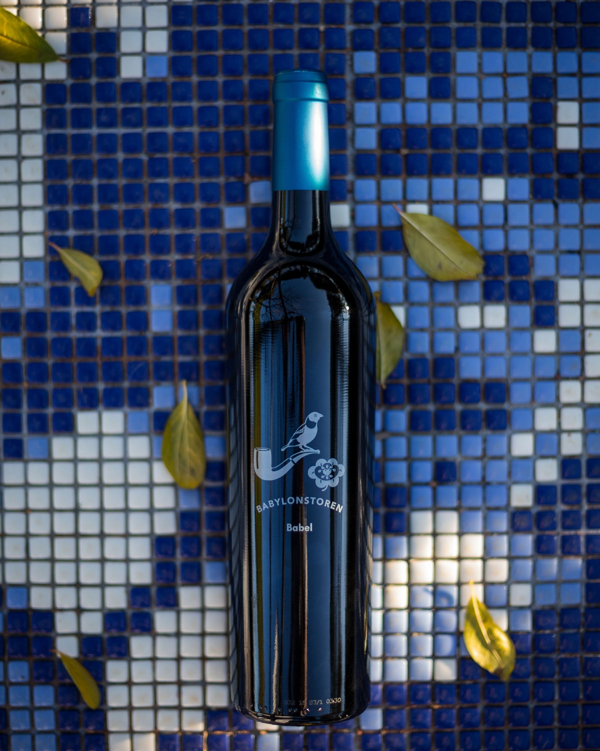 Babylonstoren Babel Red Blend 2024 🍷 10 Flaschen + Gratis Magnum