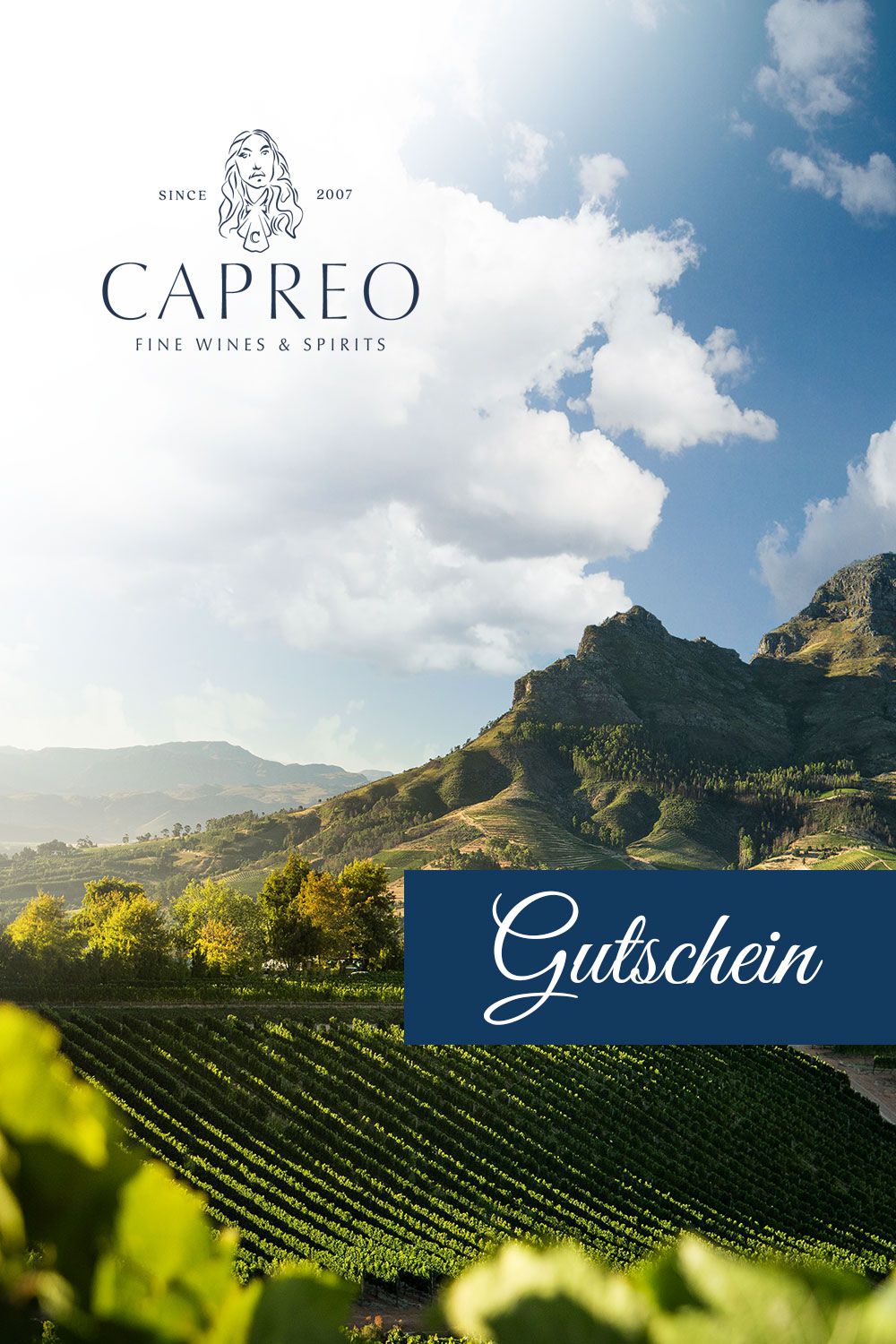 Ein malerischer Weinberg erstreckt sich in Richtung sonnenbeschienener Berge unter einem blauen Himmel mit Wolken. Oben ist das Logo von CAPREO Fine Wines & Spirits zu sehen, unten rechts ein blaues Banner mit einem Gutschein.