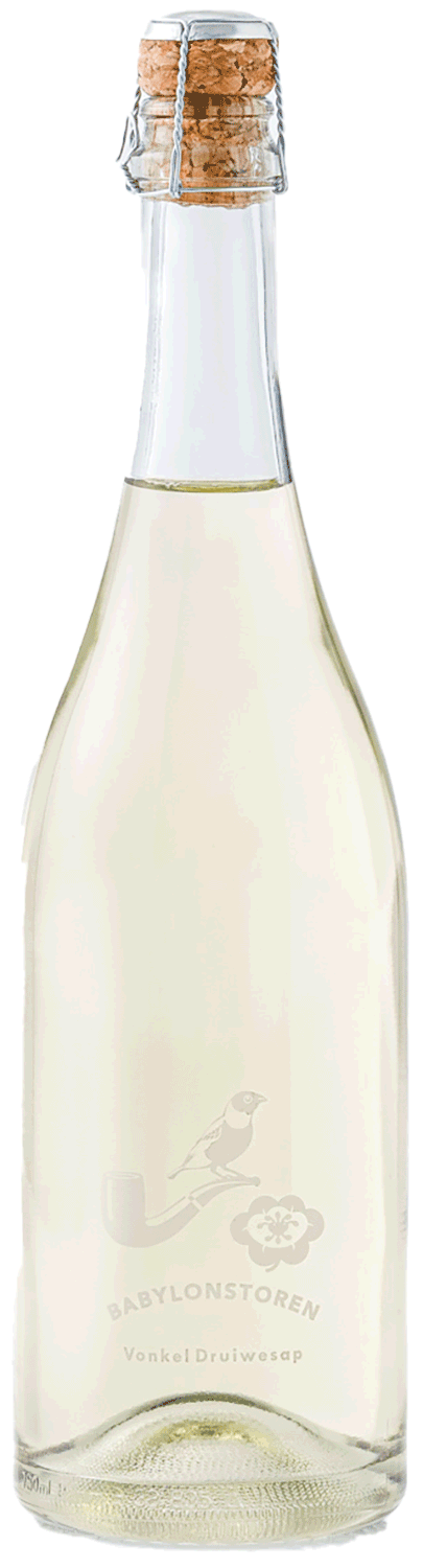 Babylonstoren Sparkling Grape Juice 🍇 Non-Alcoholic