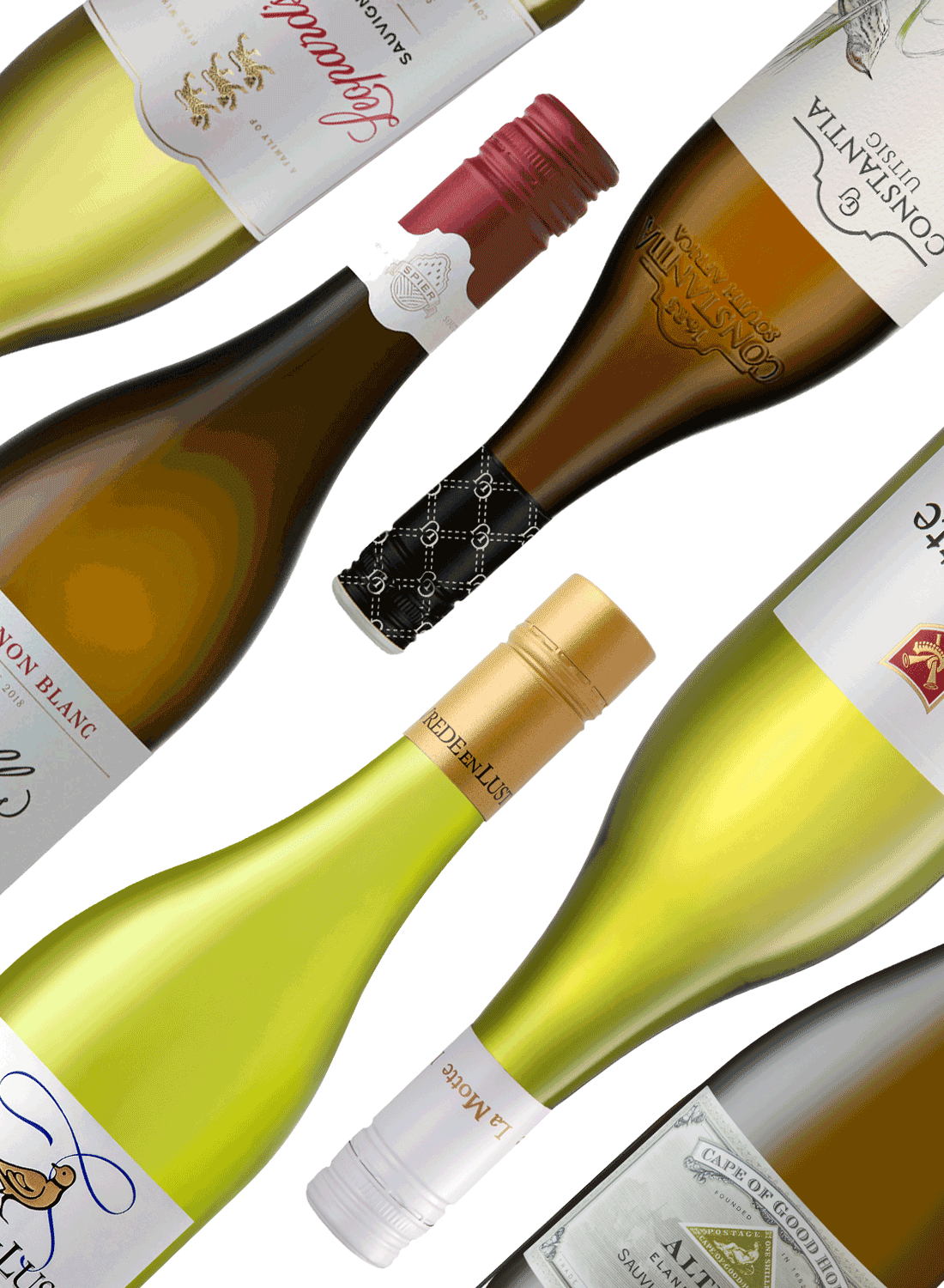 Best of Sauvignon Blanc 🍋