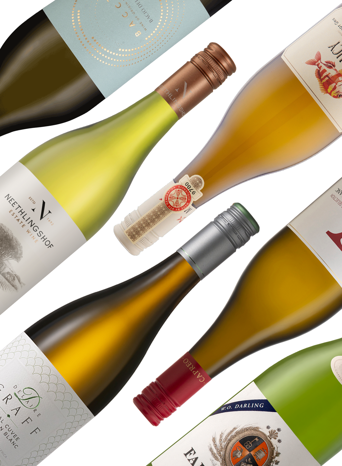 Best of Whites 🥂 White Wine Package