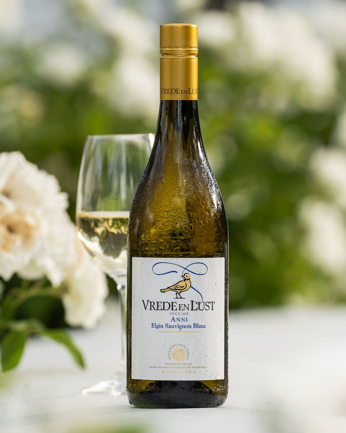 Best of Sauvignon Blanc 🍋