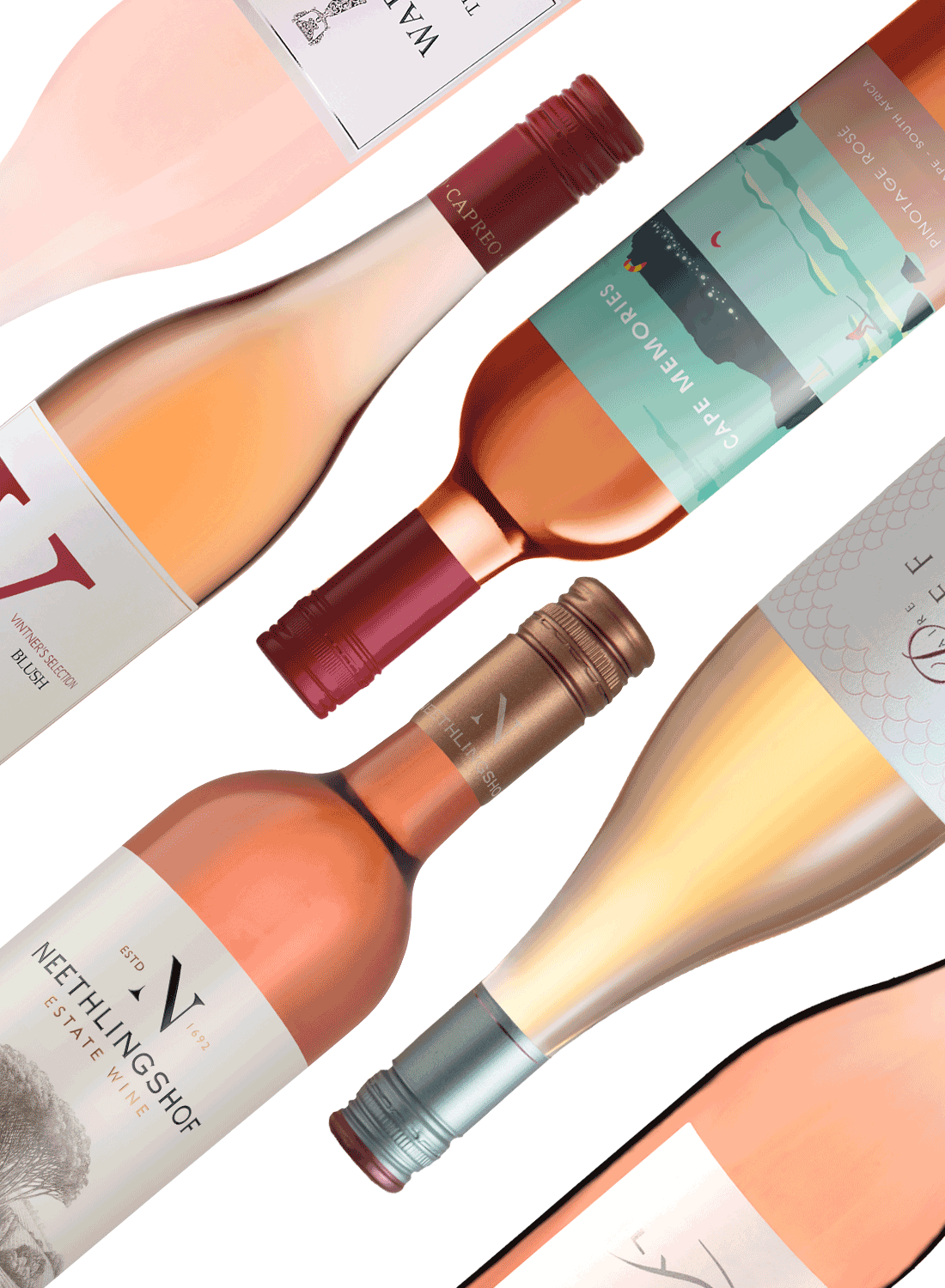 Best of Rosés - Rosé-Weinpaket