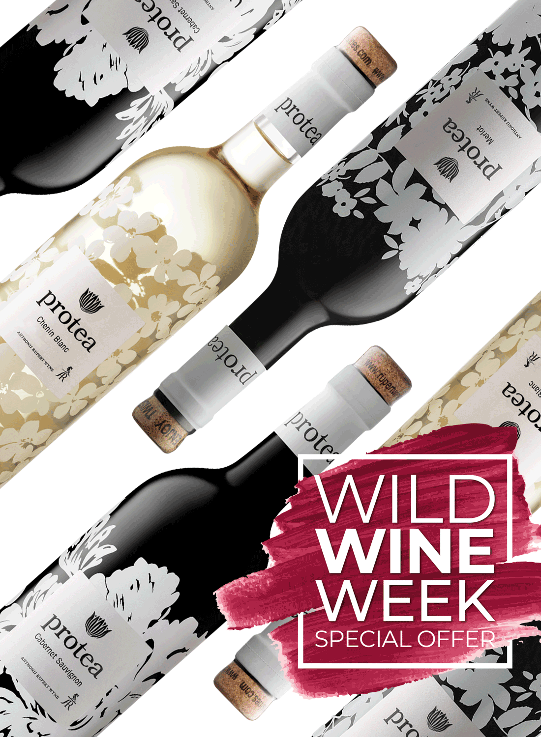 Anthonij Rupert Protea Range 💥 WWW Special