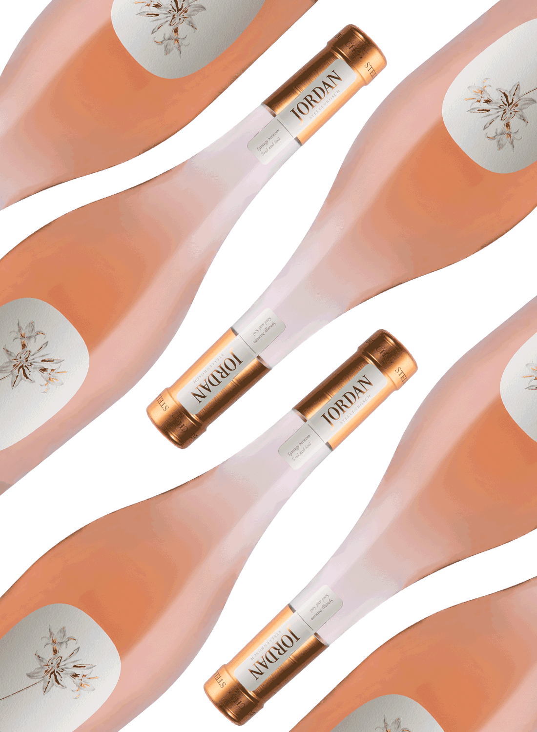 Jordan Dry Rosé 2024 | Rosé Wine of the Month 🔥 Buy 5 & Get 6