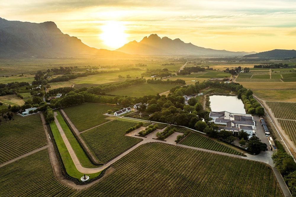 Buy top wines from the La Motte winery online